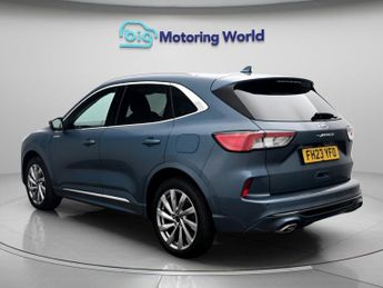 Ford Kuga VIGNALE