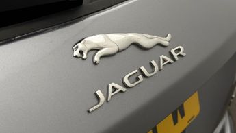 Jaguar F-PACE CHEQUERED FLAG AWD