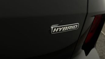 Ford Kuga ST-LINE EDITION
