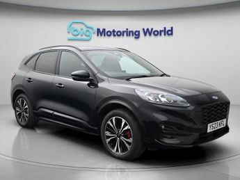 Ford Kuga ST-LINE X EDITION