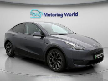 Tesla Model Y ALL MODELS