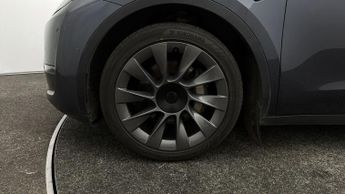 Tesla Model Y ALL MODELS