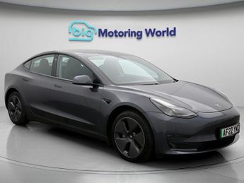 Tesla Model 3 ALL MODELS