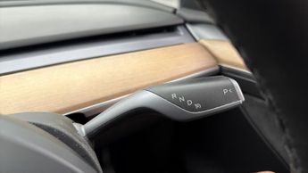 Tesla Model Y ALL MODELS