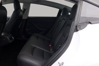 Tesla Model 3 ALL MODELS