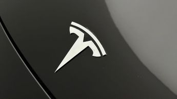 Tesla Model Y ALL MODELS