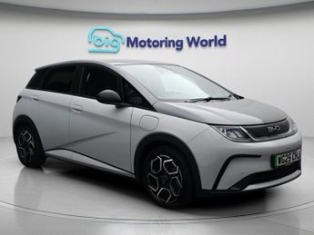 BYD Dolphin DESIGN