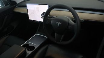 Tesla Model 3 ALL MODELS