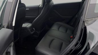 Tesla Model 3 ALL MODELS