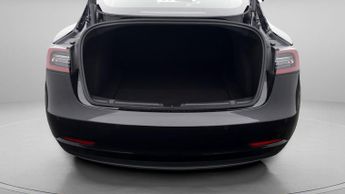 Tesla Model 3 ALL MODELS