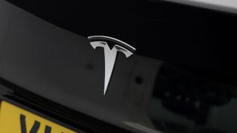Tesla Model 3 ALL MODELS