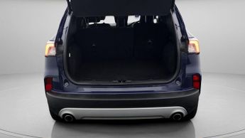 Ford Kuga TITANIUM EDITION ECOBLUE