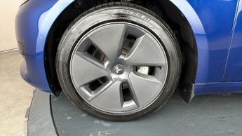 Tesla Model 3 ALL MODELS