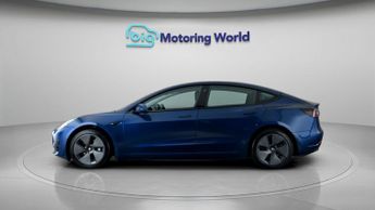 Tesla Model 3 ALL MODELS