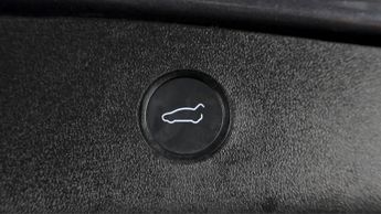 Tesla Model 3 ALL MODELS