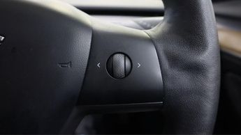 Tesla Model 3 ALL MODELS