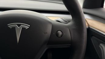 Tesla Model 3 ALL MODELS