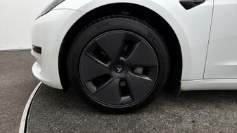 Tesla Model 3 ALL MODELS