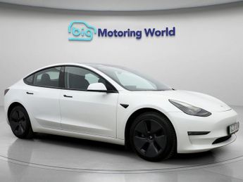 Tesla Model 3 ALL MODELS