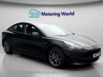 Tesla Model 3 ALL MODELS