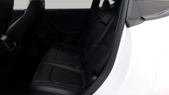 Tesla Model Y ALL MODELS