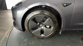 Tesla Model 3 ALL MODELS