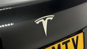 Tesla Model 3 ALL MODELS