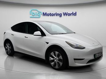 Tesla Model Y ALL MODELS