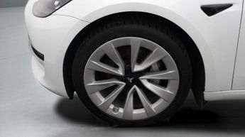 Tesla Model 3 ALL MODELS