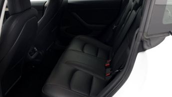 Tesla Model 3 ALL MODELS