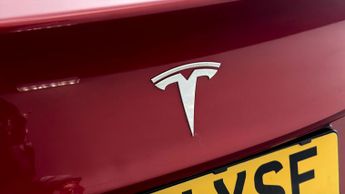 Tesla Model 3 ALL MODELS
