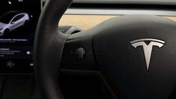 Tesla Model 3 ALL MODELS