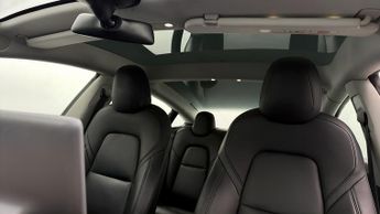 Tesla Model 3 ALL MODELS