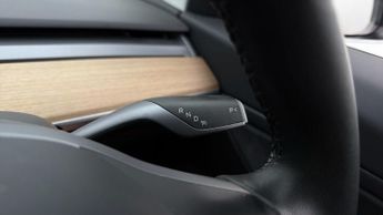 Tesla Model 3 ALL MODELS