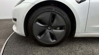 Tesla Model 3 ALL MODELS