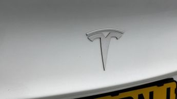 Tesla Model 3 ALL MODELS