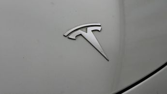 Tesla Model 3 ALL MODELS