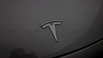 Tesla Model 3 ALL MODELS