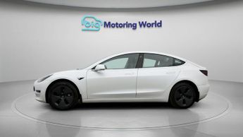 Tesla Model 3 ALL MODELS