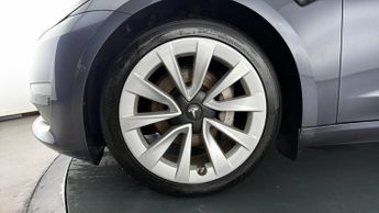 Tesla Model 3 ALL MODELS