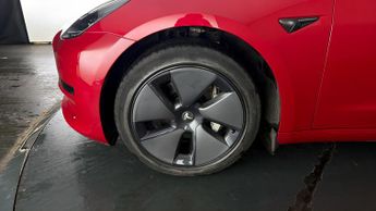 Tesla Model 3 ALL MODELS
