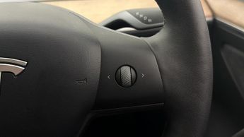 Tesla Model 3 ALL MODELS