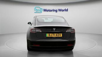 Tesla Model 3 ALL MODELS