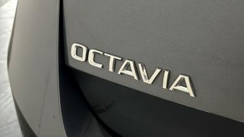Skoda Octavia SE L TSI DSG