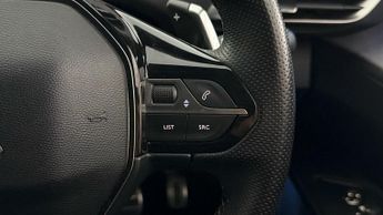 Peugeot 3008 PURETECH S/S GT PREMIUM