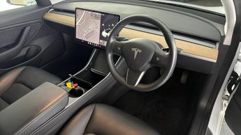 Tesla Model 3 ALL MODELS