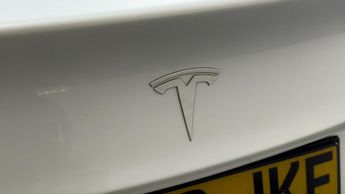 Tesla Model 3 ALL MODELS