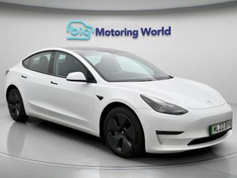 Tesla Model 3 ALL MODELS