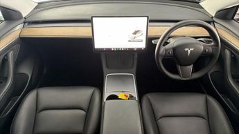 Tesla Model 3 ALL MODELS