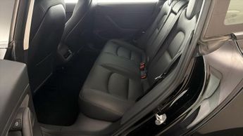 Tesla Model 3 ALL MODELS